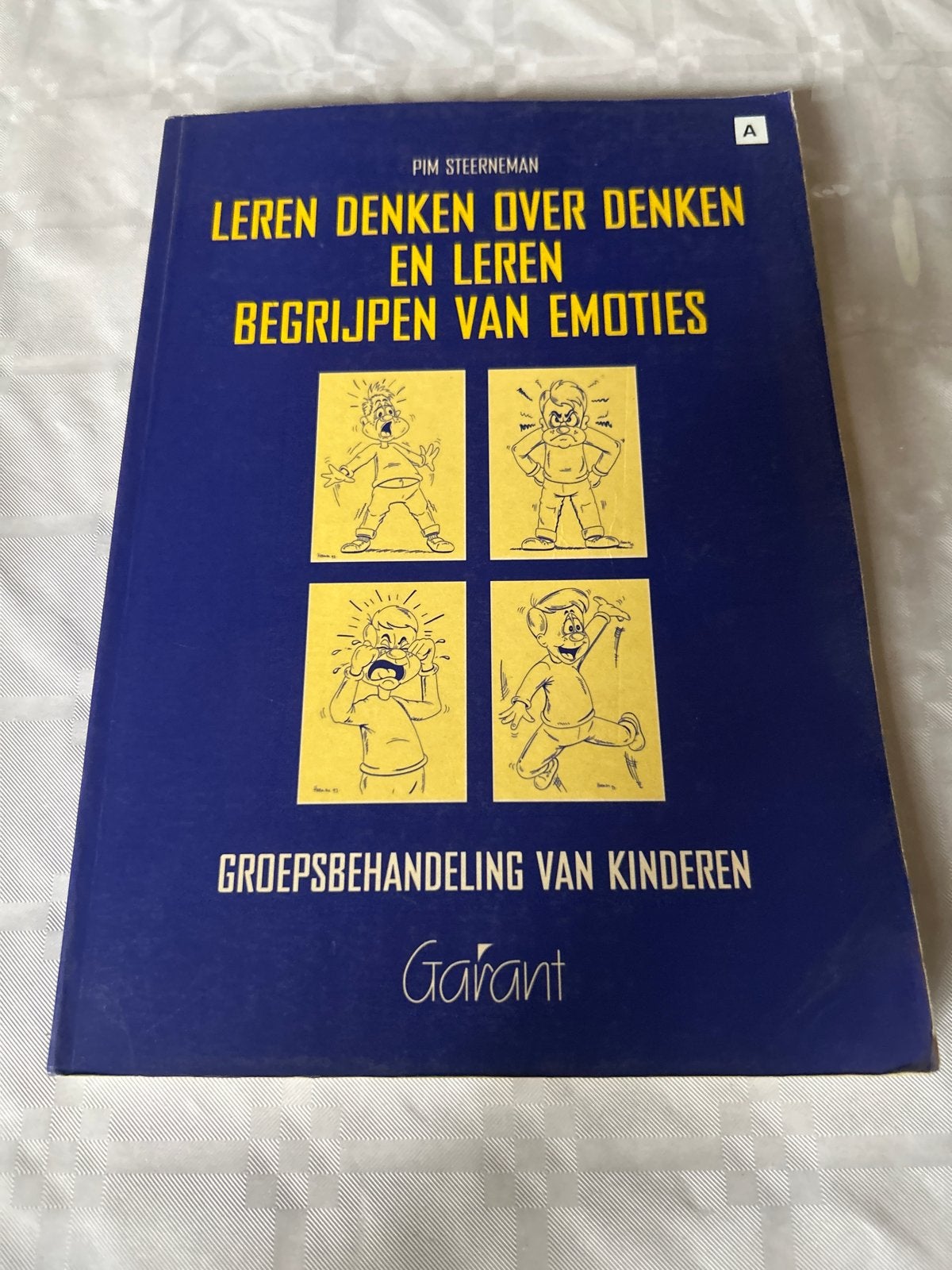 Leren Denken over Denken en Begrijpen van Emoties, Boeken, Ophalen of Verzenden, Zo goed als nieuw, Klinische psychologie