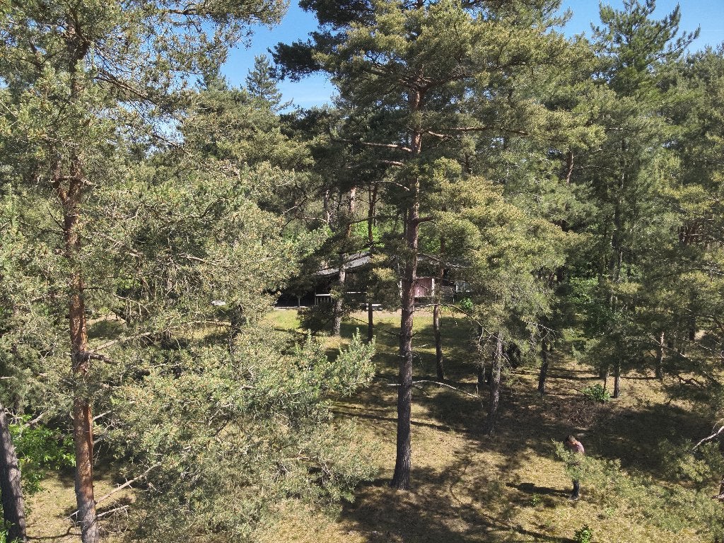 "Zeldzaam aanbod: midden in de natuur van Balen", Gelderland, 2 slaapkamers, 65 m², Verkoop zonder makelaar