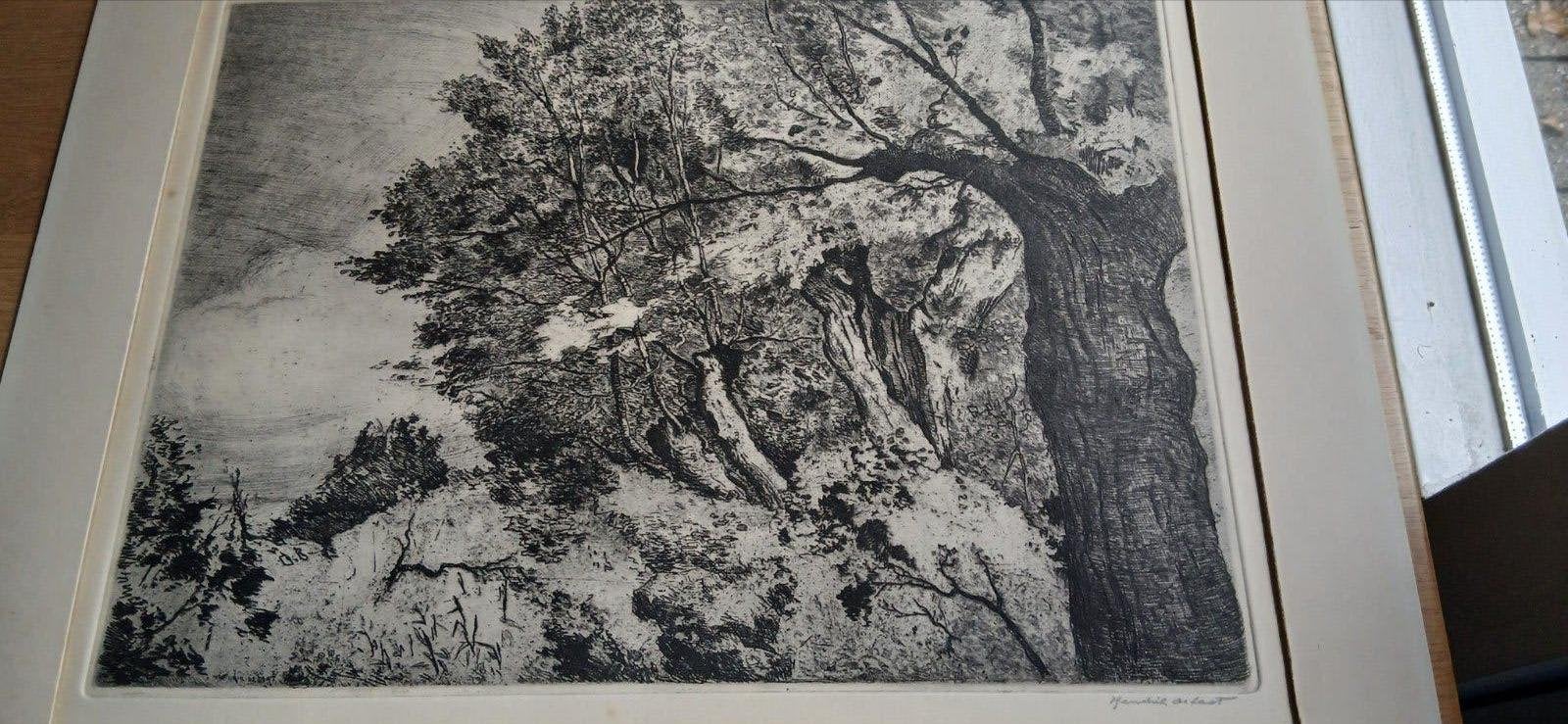 Landschap met bomen - Ets hendrik de laat, Antiek en Kunst, Ophalen