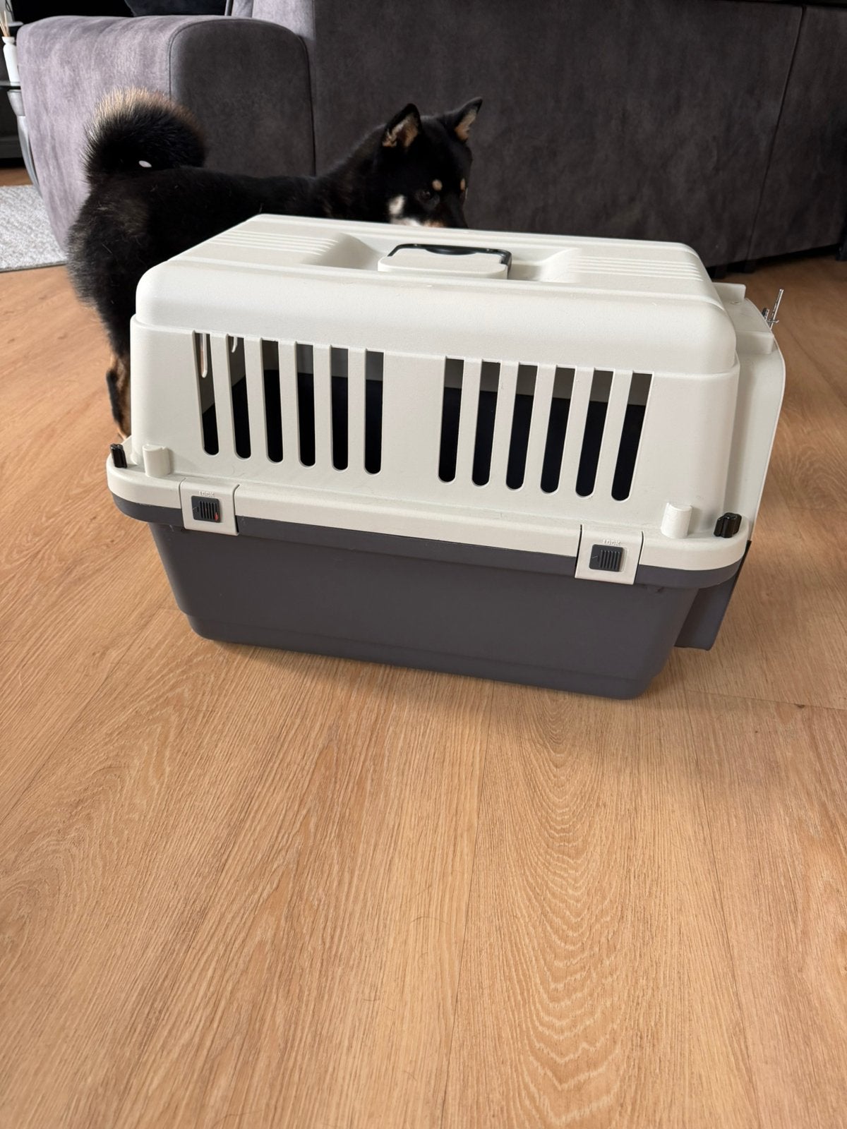 Transportkooi / bench Donkergrijs maat S  61x40x41cm, Dieren en Toebehoren, Ophalen, Zo goed als nieuw