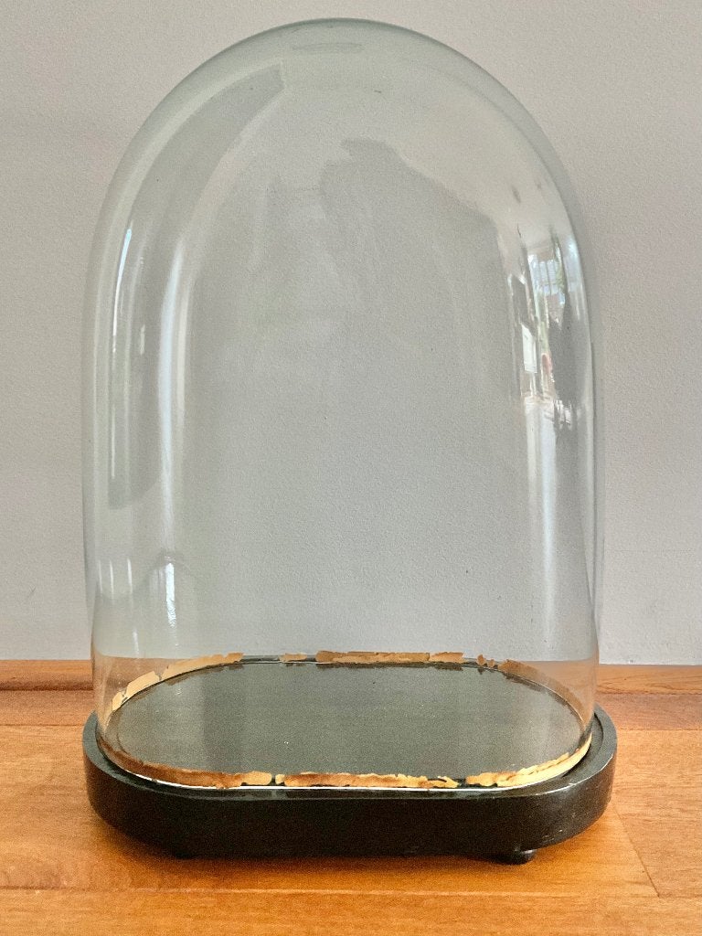Antieke ovalen stolp 30x40cm, Glas, Ophalen, Gebruikt, Met plateau