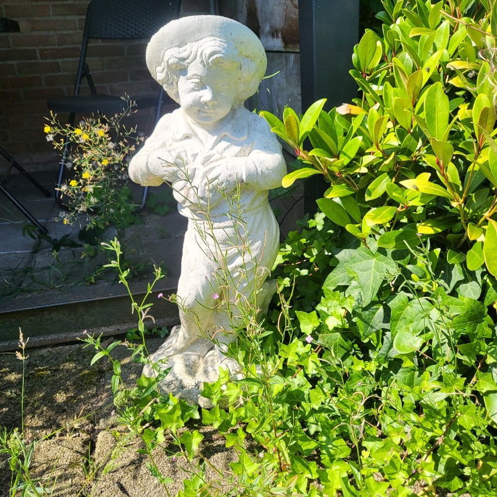 Tuinbeelden, Tuin en Terras, Ophalen, Gebruikt