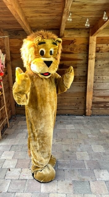 mooi mascotte leeuwen kostuum / pak slechts 25 euro per dag, Ophalen of Verzenden, Zo goed als nieuw, Overige