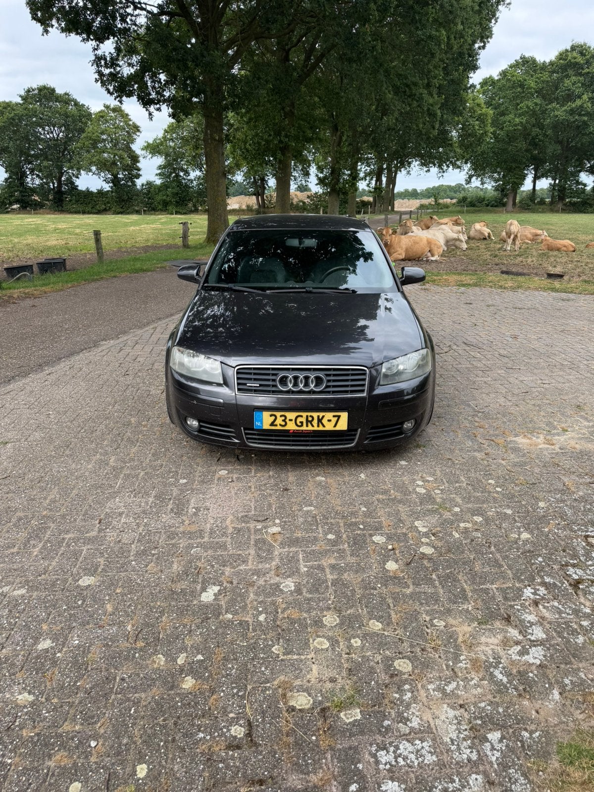 Audi A3 v6 2004 Grijs, 3189 cc, 1600 kg, 84 €/maand, 750 kg