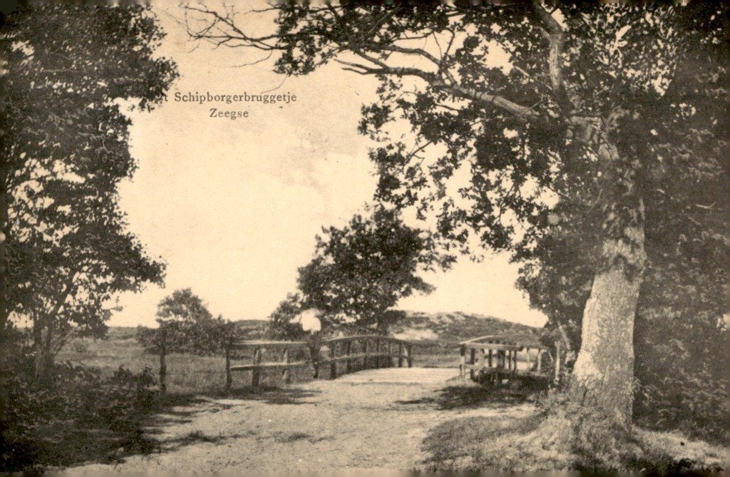 Zeegse Schipborgerbruggetje # 589, Verzamelen, Ophalen of Verzenden, Voor 1920, Gelopen, Drenthe