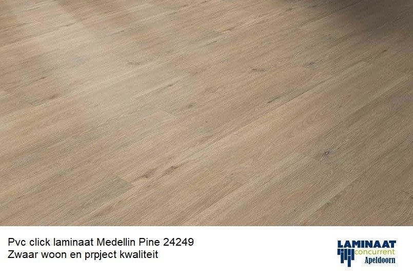 Pvc Click Laminaat Medellin Pine 24249 Moduleo Linea, Pvc click vloer pine boom kleur, Nieuw, Ophalen of Verzenden, Laminaat