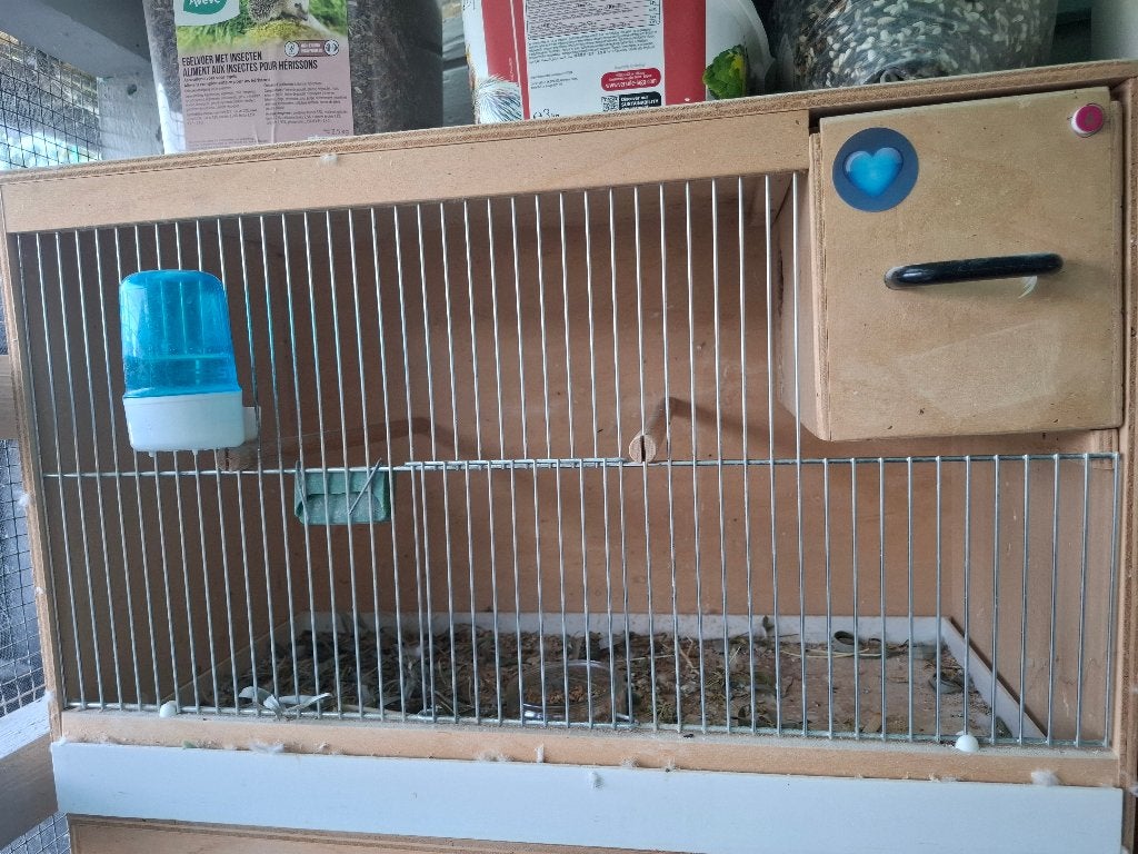 Kweekkooi met kweekblok, Dieren en Toebehoren, Vogels | Hokken en Kooien, Ophalen, Gebruikt, Hout, Broedkooi of Kweekkooi
