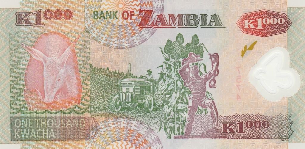 BANK OF ZAMBIA 2009 1000 KWACHA, Ophalen of Verzenden, Zambia, Los biljet