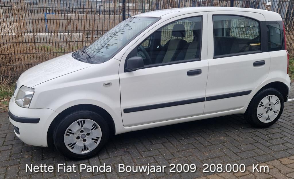 Fiat Panda 2009 - Zuinig en Ideaal voor Starter/2e Auto, Auto's, Fiat, Voorwielaandrijving, Beige, Wit, Bedrijf