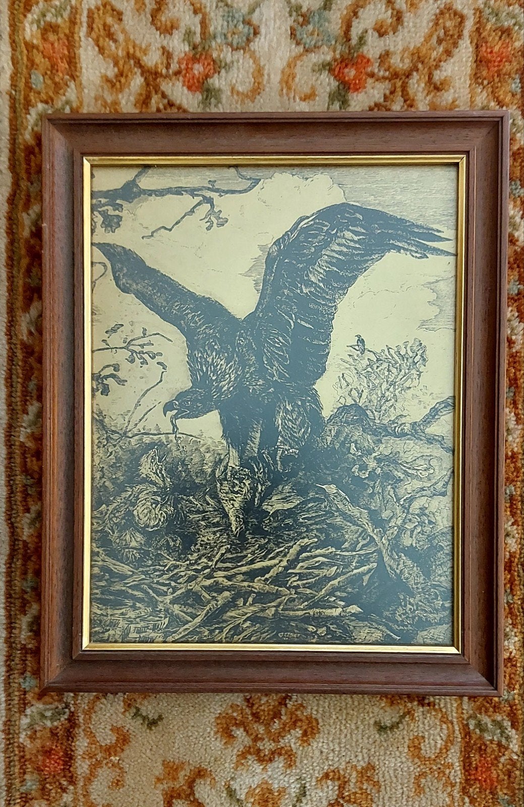 Prachtige oude kopergravure Adelaar op nest, Antiek en Kunst, Kunst | Etsen en Gravures, Ophalen of Verzenden