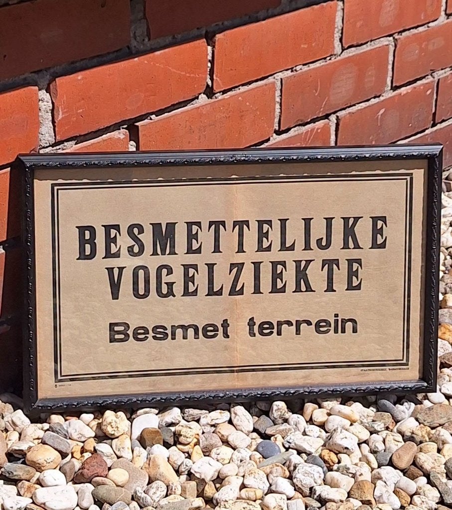 Ingelijste affiche Besmettelijke Vogelziekte Besmet terrein., Verzamelen, Ophalen, Reclamebord, Gebruikt, .