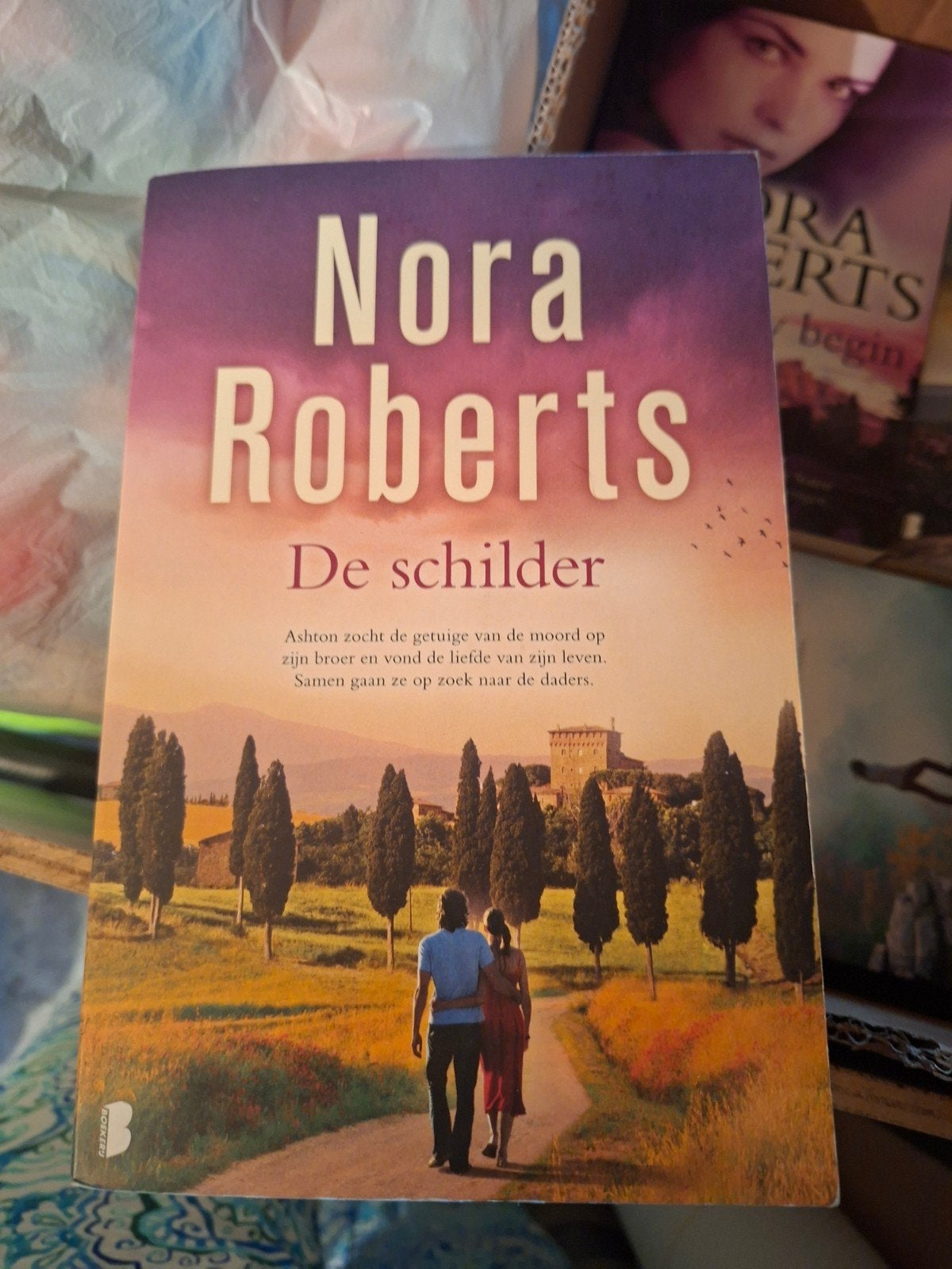 Nora Roberts - De schilder, Ophalen of Verzenden, Zo goed als nieuw, Nora Roberts