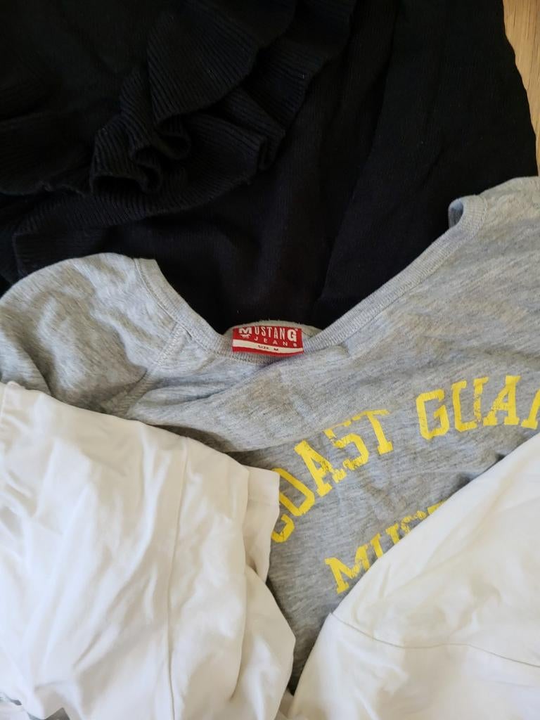 Diverse T-shirts en truien - Mustang, The North Face, Ophalen of Verzenden, Gedragen, Maat 36 (S)
