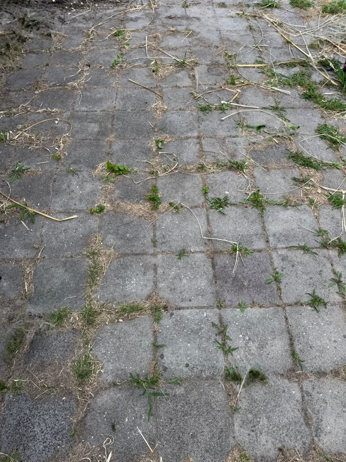 Gratis 30x30 tegels, Tuin en Terras, Tegels en Klinkers, Ophalen, Gebruikt, 10 m² of meer, Beton