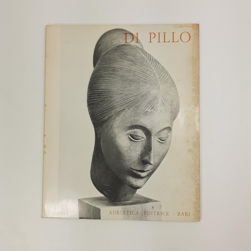 Di Pillo kunstmonografie nr. 182 van 600, Ophalen of Verzenden, Gelezen, Beeldhouwkunst