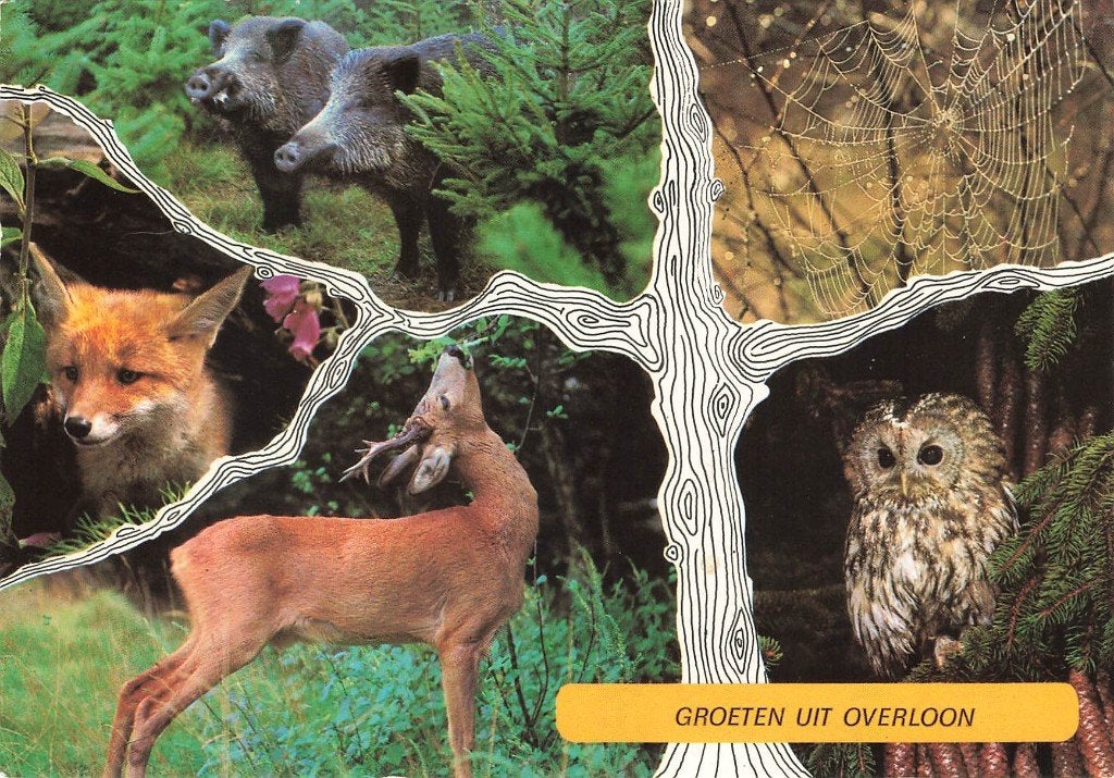 Groeten uit Overloon, Ophalen of Verzenden, 1960 tot 1980, Gelopen, Noord-Brabant