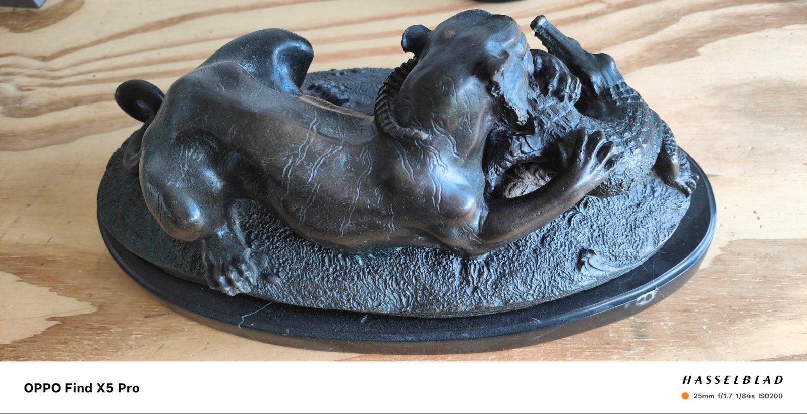 Bronzen beeld: Tijger vecht met krokodil, Gepatineerd, Ophalen of Verzenden, 20 - 50 cm, Beeld