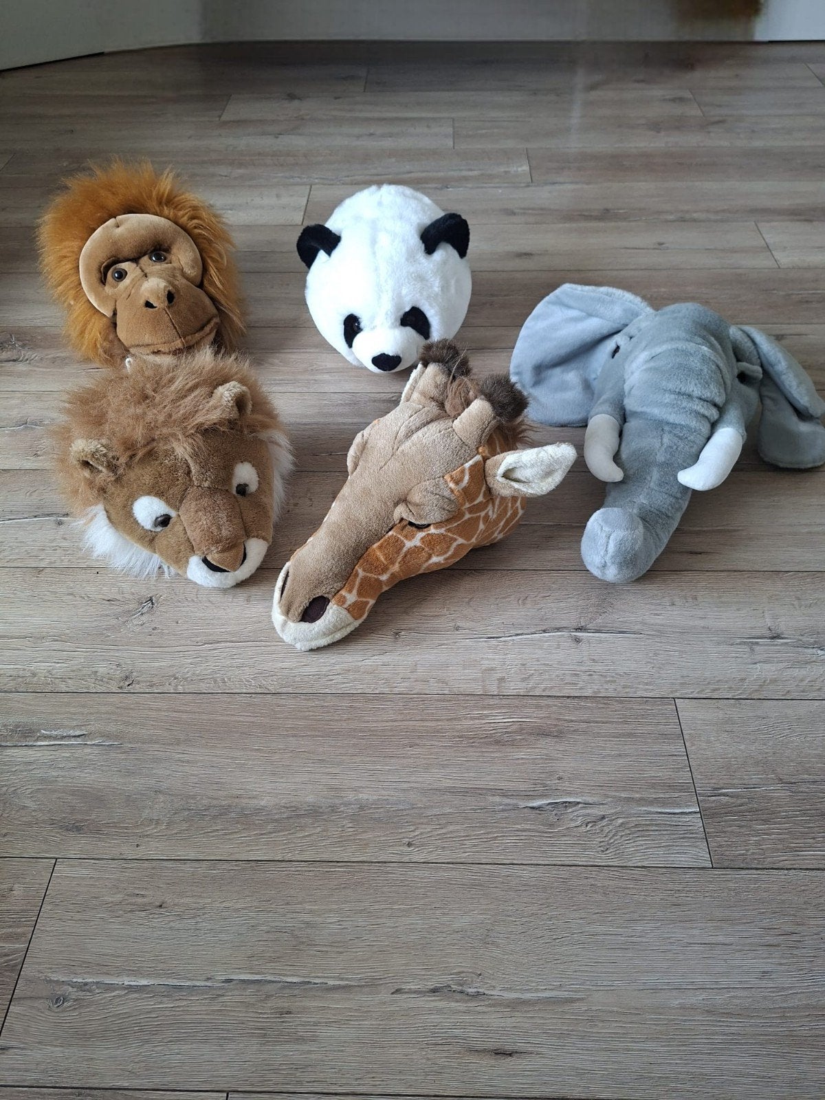 dieren jungle koppen, Ophalen of Verzenden