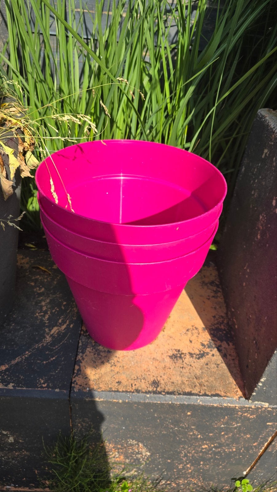 2 stuks Olijf bomen, 1 palmboom, 5 potten + planten, Kunststof, Rond, Ophalen of Verzenden, Minder dan 40 cm