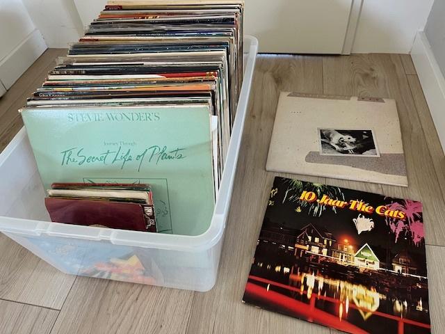Te koop "Langspeel platen" incl. ": pickup", Ophalen, Gebruikt