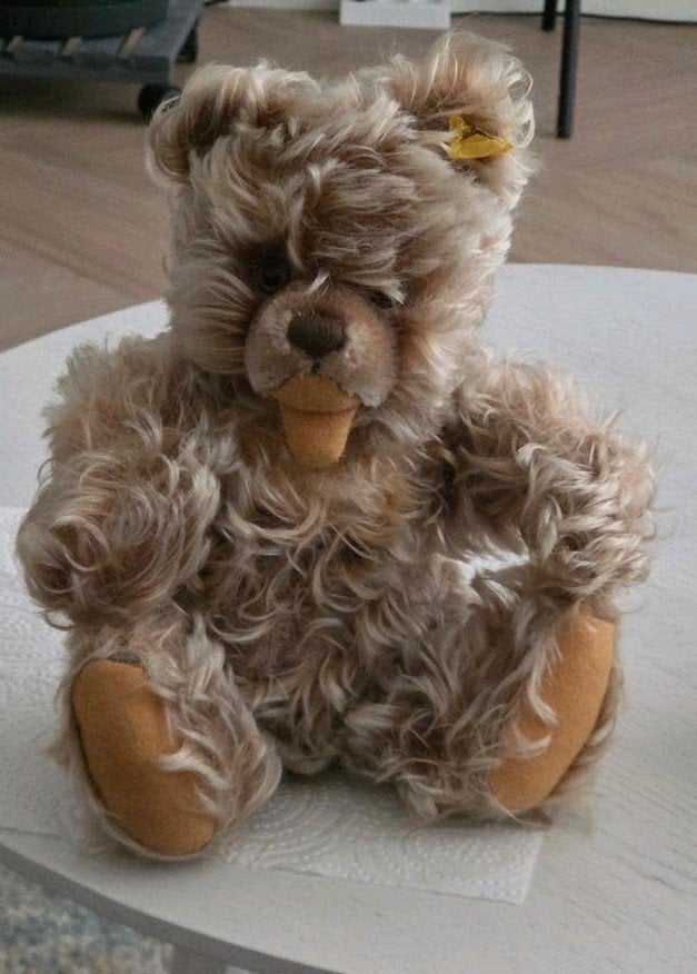 Leuke mohair beer Zotty van Steiff, Verzamelen, Beren en Cherished Teddies, Ophalen of Verzenden, Zo goed als nieuw, Stoffen beer