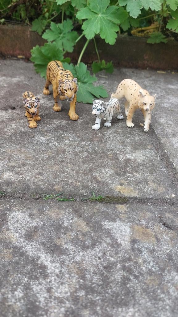 Schleich tijger familie!, Drie personen of meer, Ticket of Toegangskaart