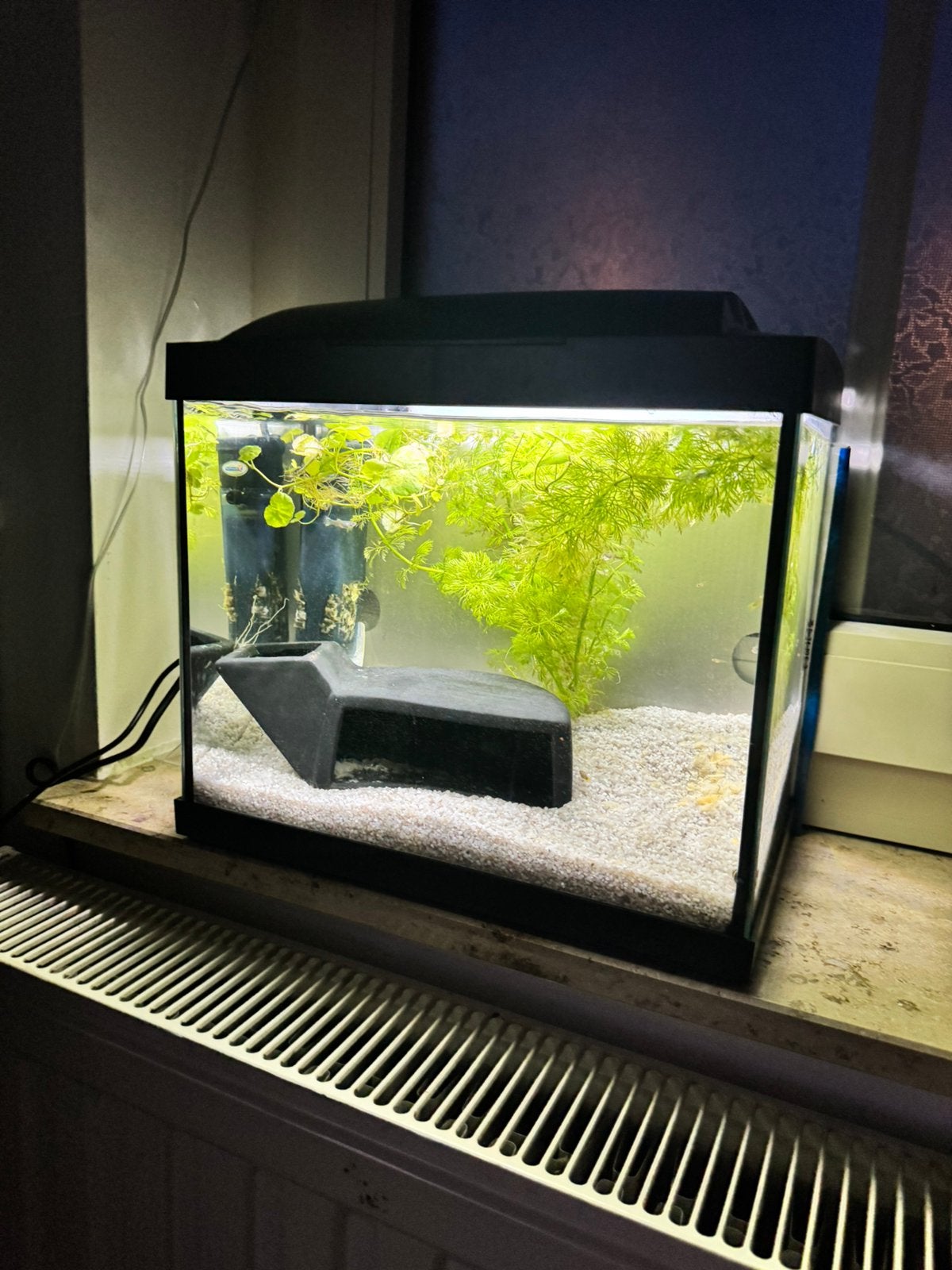 Aquarium 20l/kweekbak superfish compleet. Evt met guppies, Dieren en Toebehoren, Ophalen of Verzenden, Zo goed als nieuw, Gevuld zoetwateraquarium