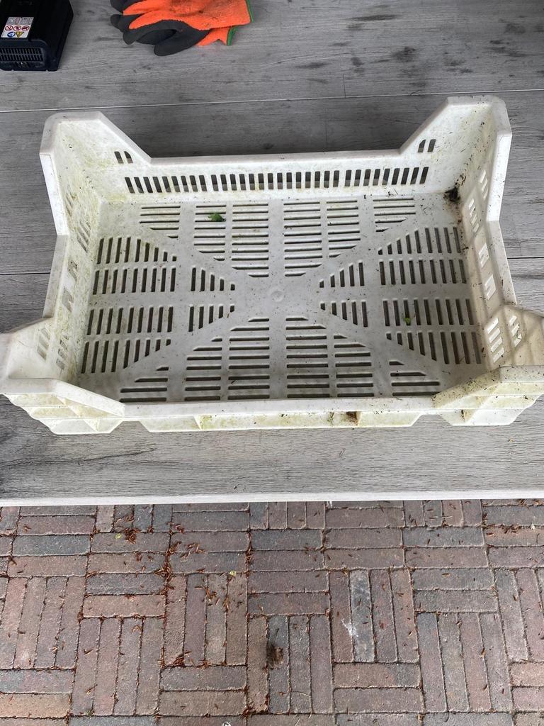 Stapelbare fruitkratten (ca. 75 stuks) - 60x40x10 cm, Doe-het-zelf en Verbouw, Kratten en Dozen, Gebruikt, 40 tot 60 cm, 50 tot 75 cm