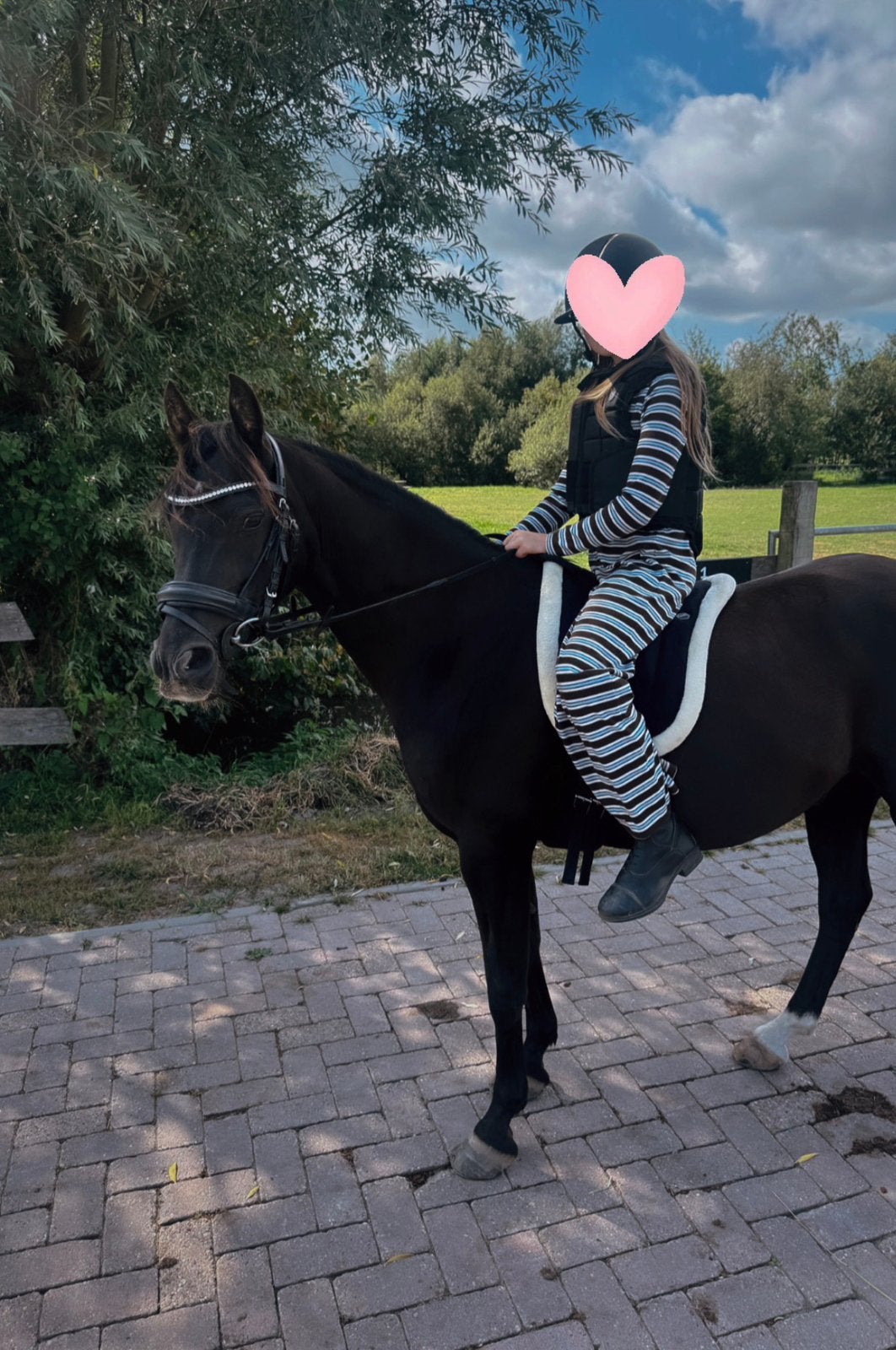 Onwijs leuke, brave C recreatie pony, Dieren en Toebehoren, Paarden, Ruin, Recreatiepaard, 11 jaar of ouder