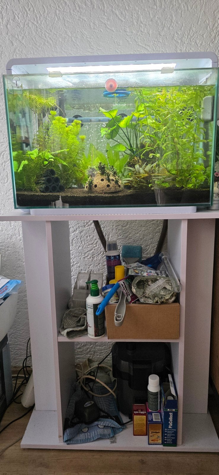 Aquarium superfish home 65, Ophalen, Zo goed als nieuw, Gevuld zoetwateraquarium