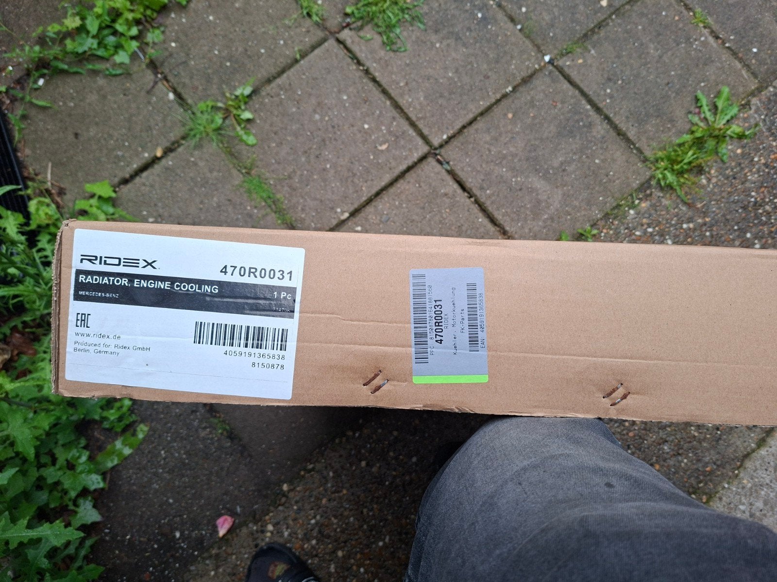 Nieuwe Radiateur Mercedes W123 (RIDEX 470R0031) - Sealed, Ophalen of Verzenden, Nieuw, Mercedes-Benz