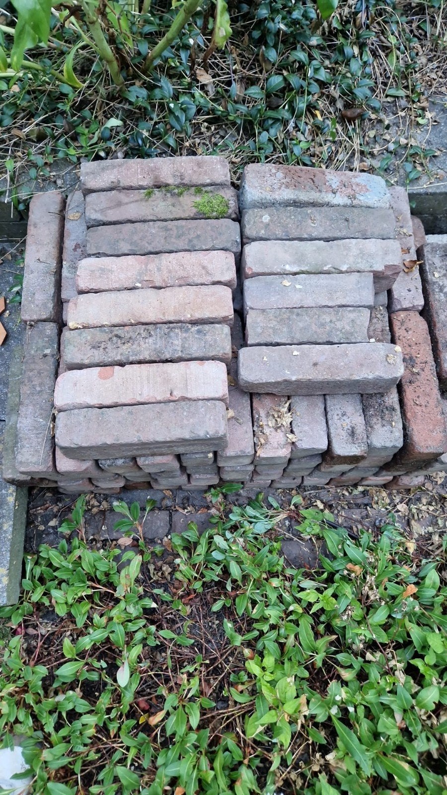 Waaltjes, Tuin en Terras, Ophalen, Beton, Klinkers