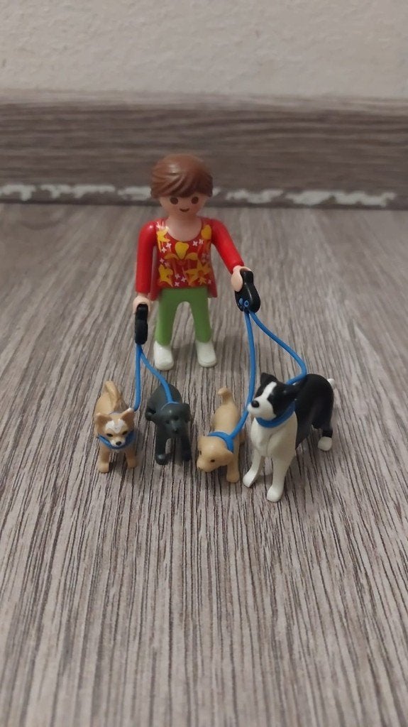 playmobil honden oppas 5380 compleet, Kinderen en Baby's, Speelgoed | Playmobil, Ophalen of Verzenden, Gebruikt
