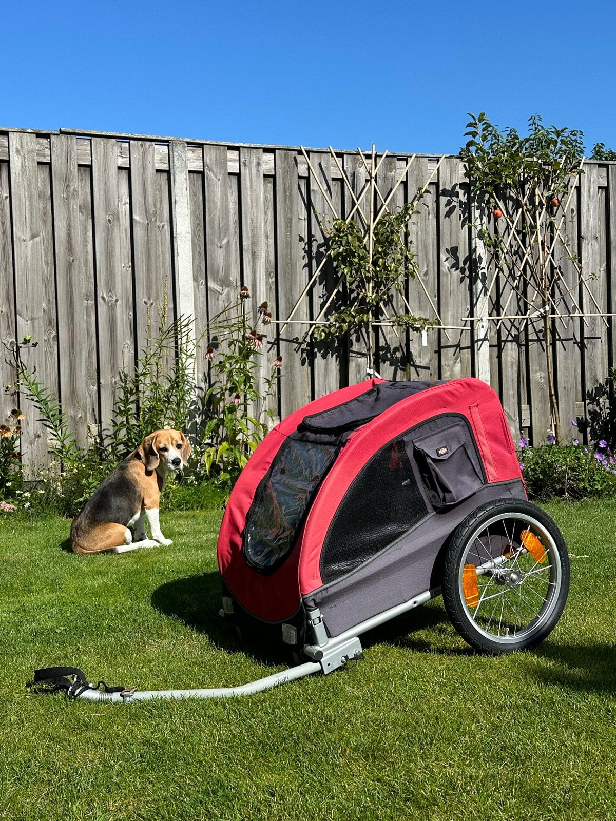 Trixie Hondenfietskar M - Ideaal voor kleine tot middelgrote, Ophalen, Minder dan 20 kg, Opvouwbaar, Zo goed als nieuw