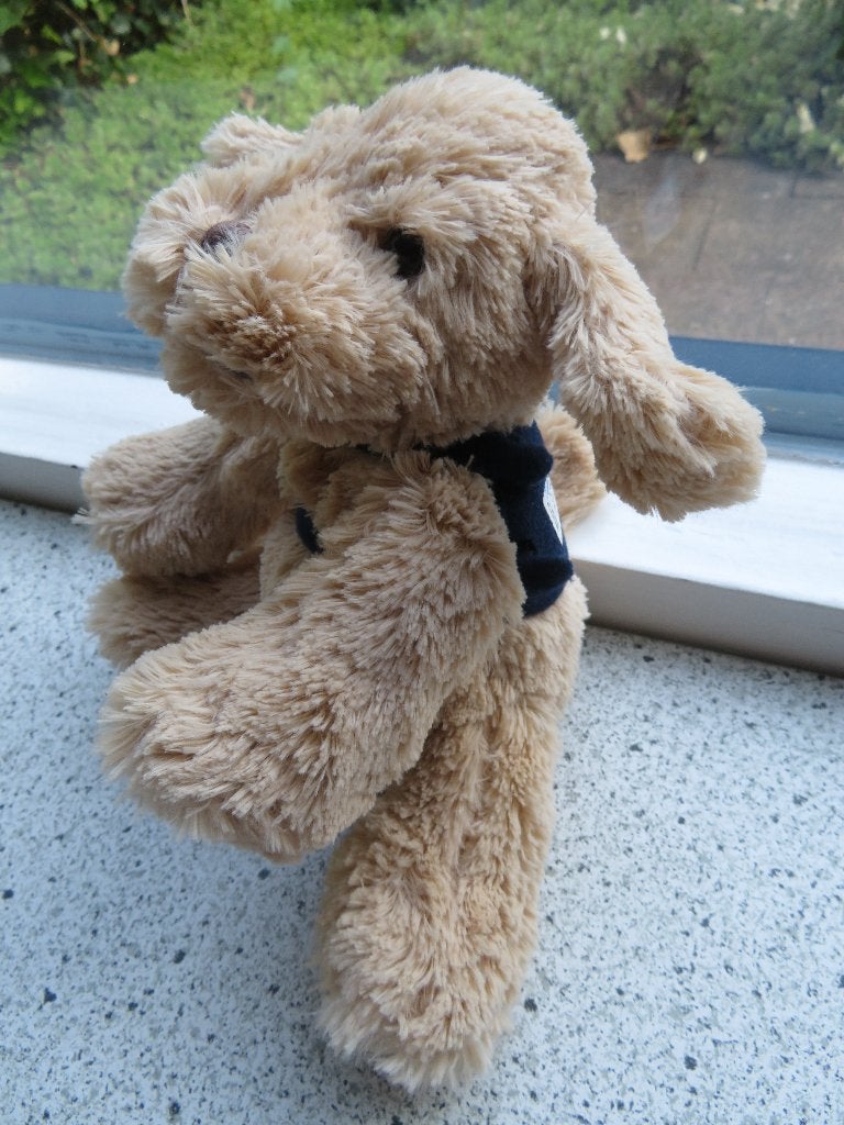 Hulphond Flip hond hondje Sligro Food langharig blauw dekje, Ophalen of Verzenden, Zo goed als nieuw, Hond, Wasbaar