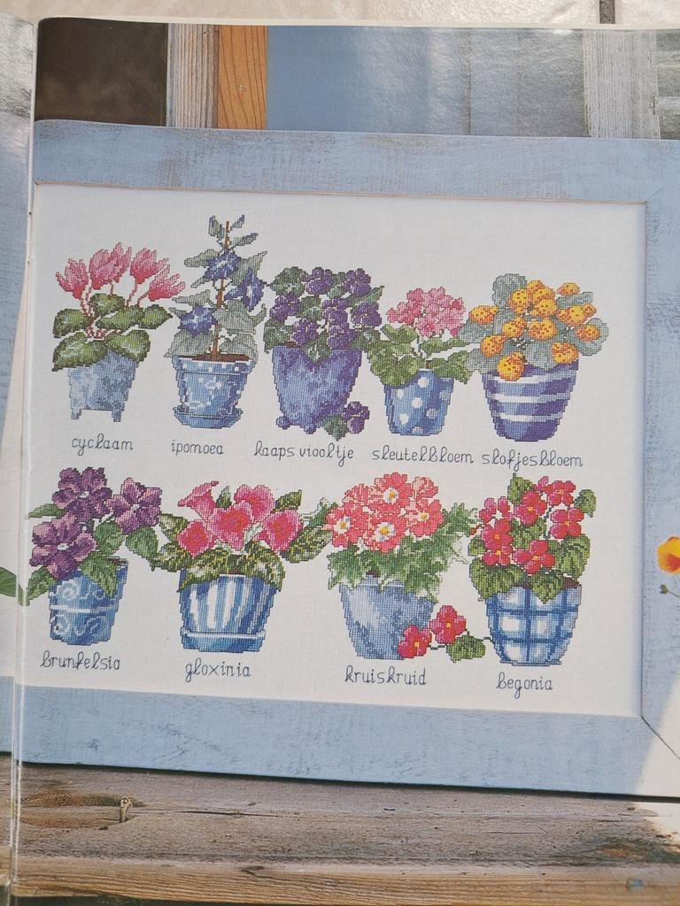 Borduurpatroon vrolijke bloeiende kamerplanten, Ophalen of Verzenden, Nieuw, Handborduren, Patroon