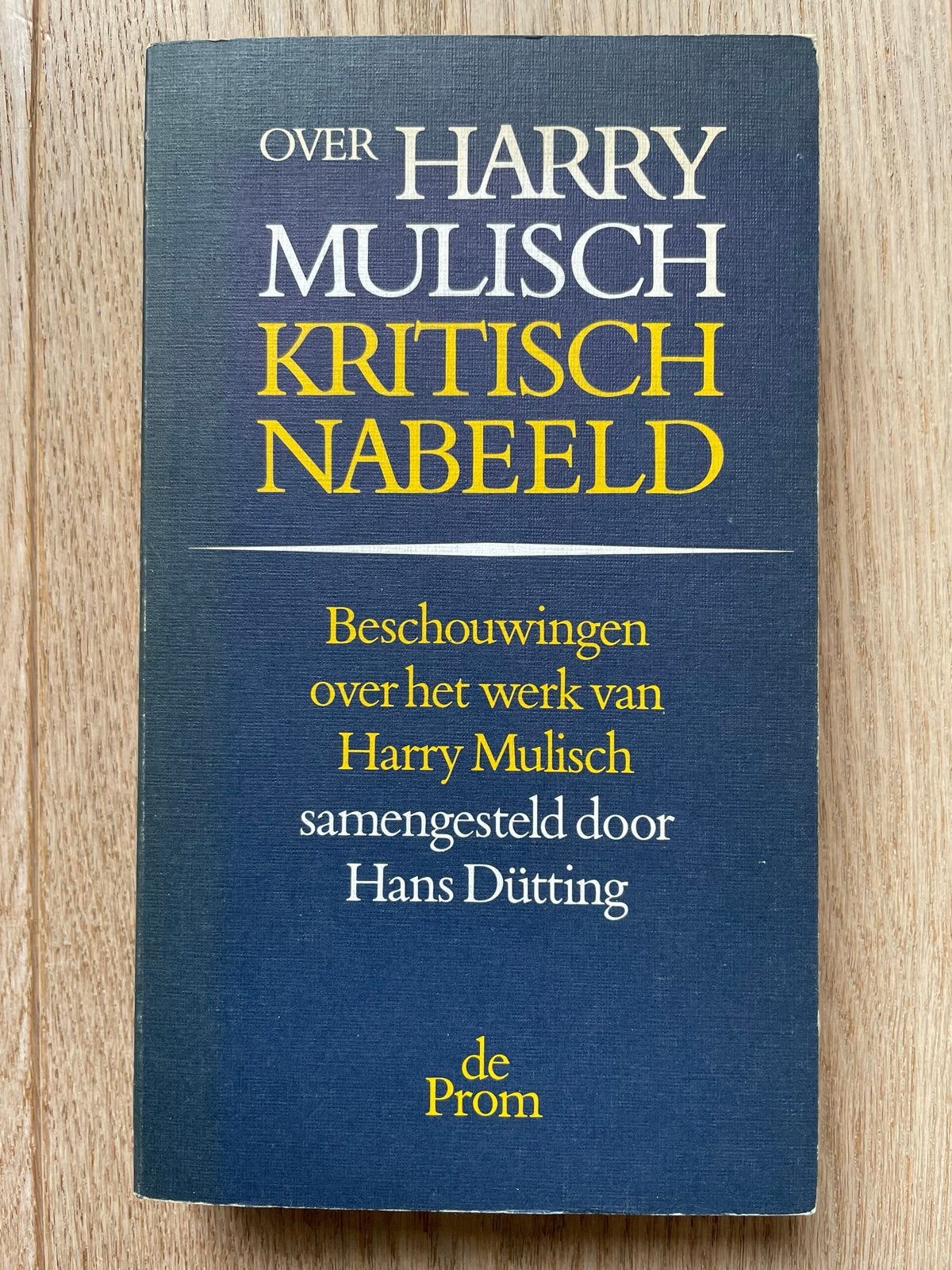 Hans Dütting - Over Harry Mulisch Kritisch Nabeeld, Ophalen of Verzenden, Gelezen, Nederland