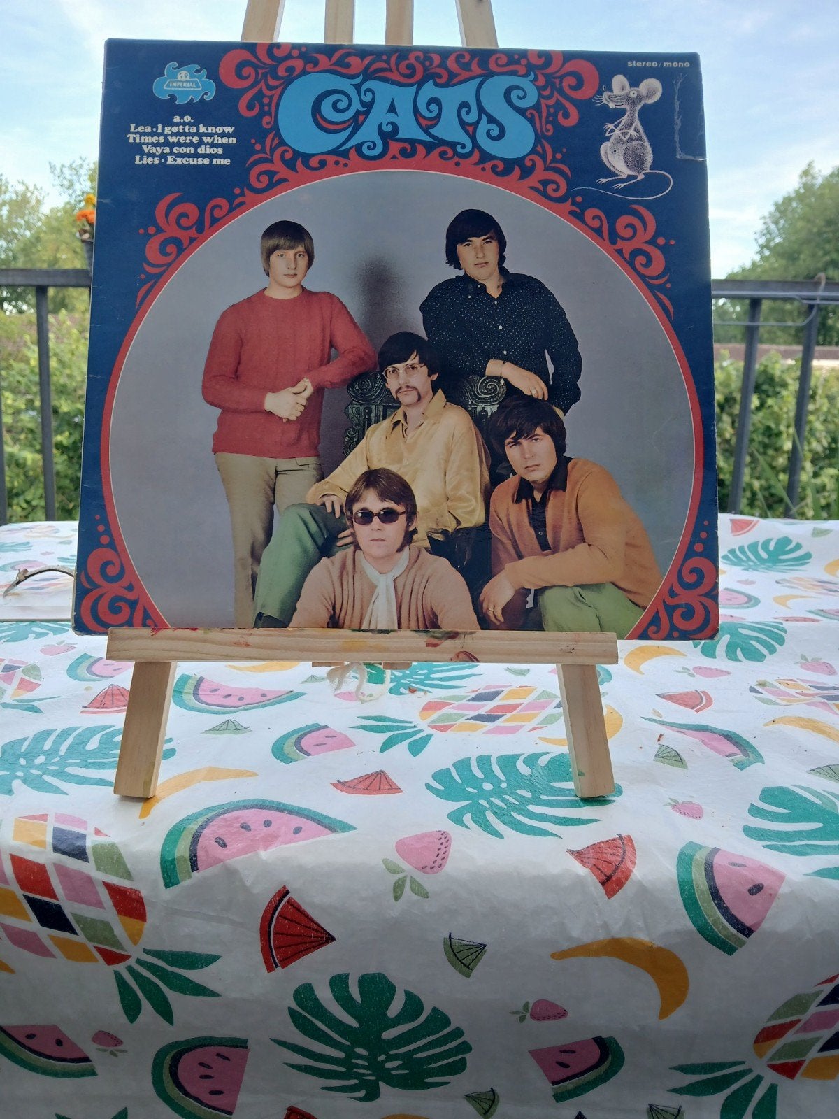 The Cats Lea I Gotta Know (Vinyl LP) plaat, Ophalen of Verzenden, Gebruikt, 12 inch