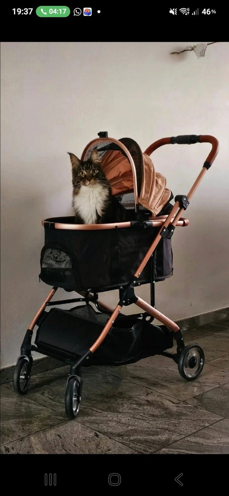 mooie degelijke honden/katten buggy, Ophalen, Zo goed als nieuw
