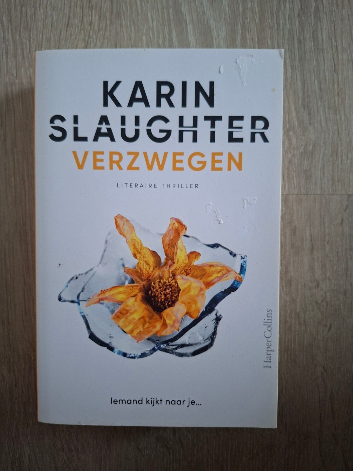 Karin Slaughter - Verzwegen (Literaire Thriller), Ophalen of Verzenden, Gelezen, Karin Slaughter