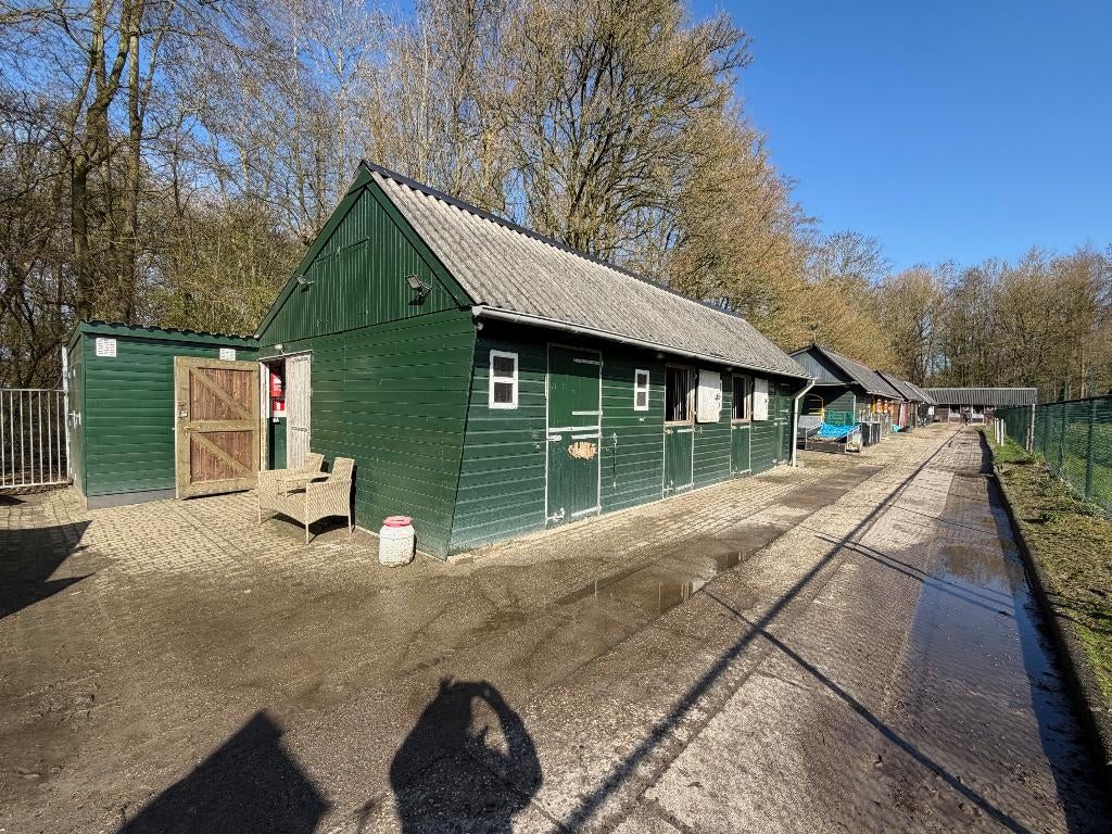 Paardenstal in Dronten, Stalling, 4 paarden of pony's of meer
