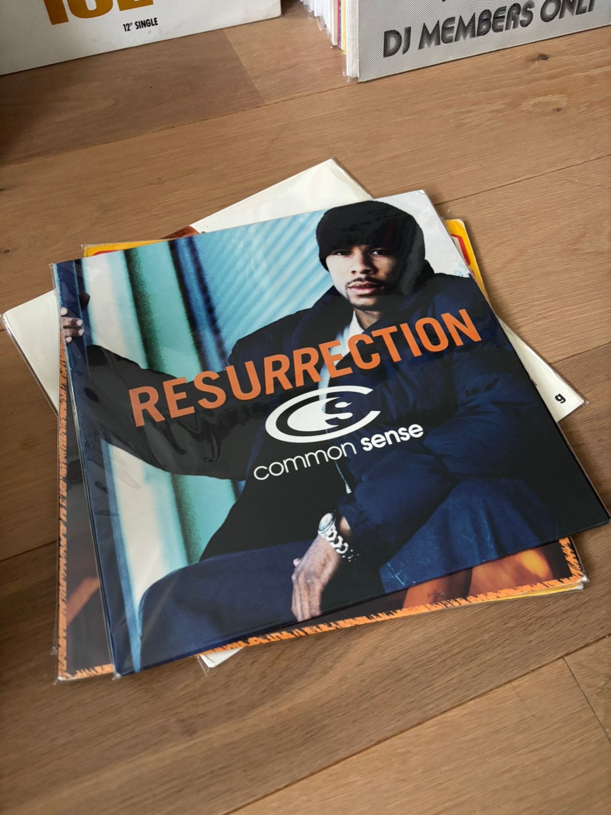 Common Sense ‎– Resurrection (Relativity ‘95), Gebruikt, Verzenden, Originele persing, 12 inch