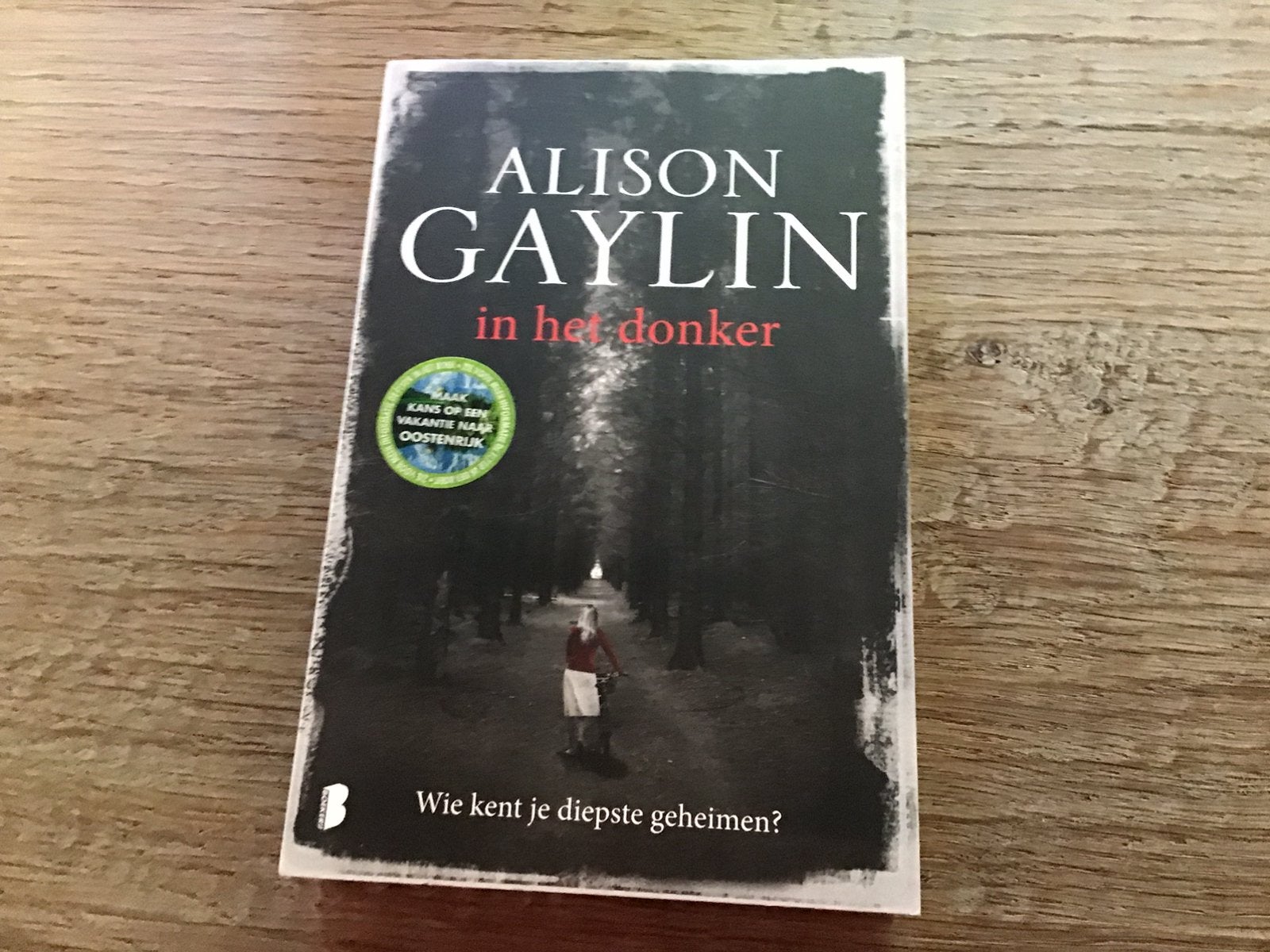 Alison Gaylin - In het donker, Ophalen of Verzenden, Nieuw, Alison Gaylin