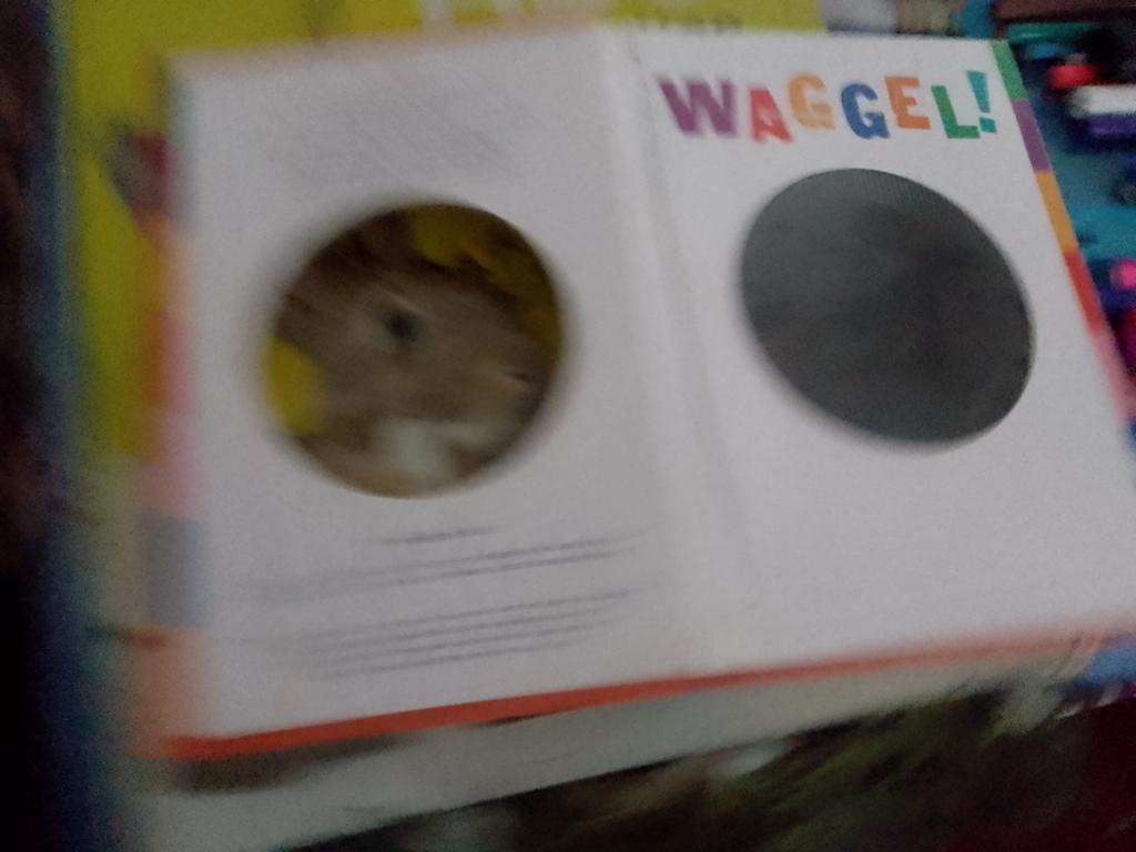 boekje waggel  zie de dieren bewegen rufus butler seder, Ophalen, Zo goed als nieuw