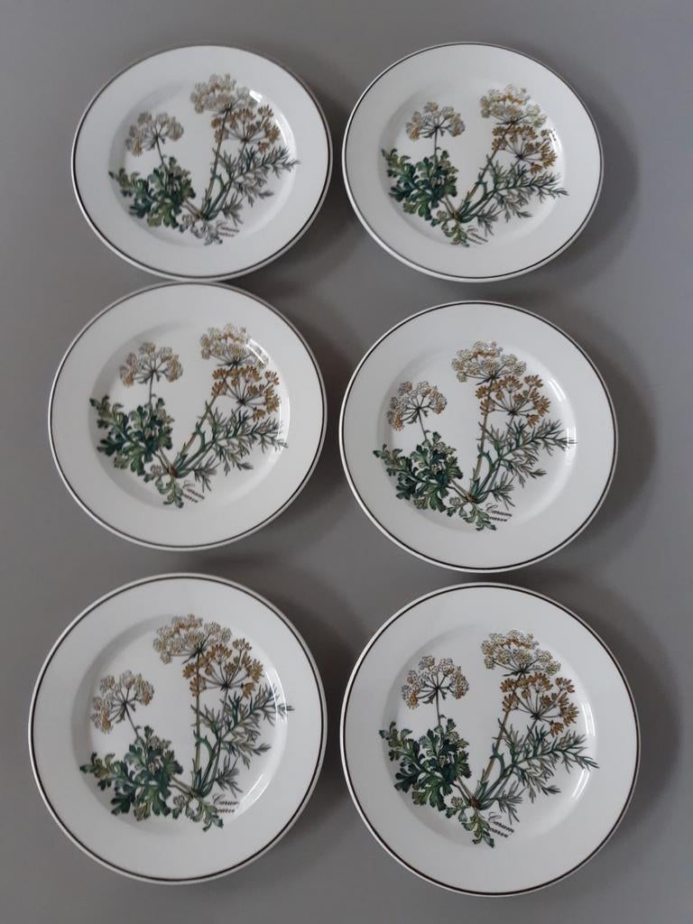 6 Gebaksbordjes Villeroy en Boch Botanica, Ophalen of Verzenden, Porselein, Overige stijlen, Bord(en)