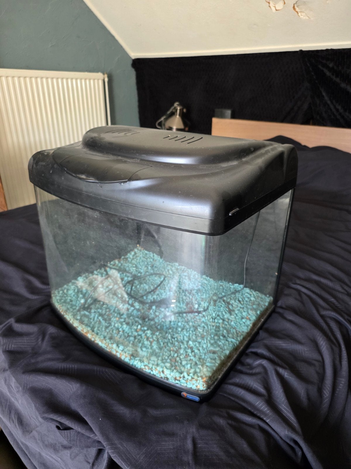 Aquarium Superfish 60 liter, Ophalen, Gebruikt, Superfish, Inclusief deksel