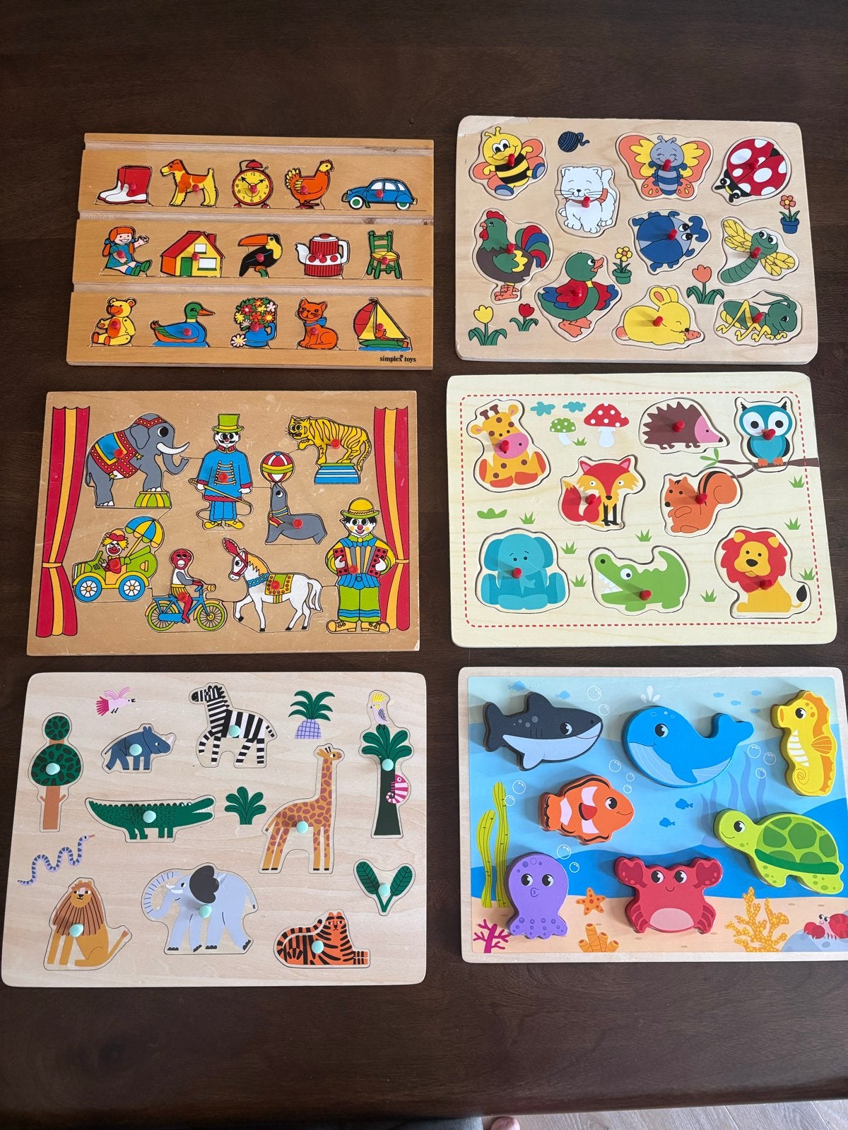 Houten Insteekpuzzels Set - Dieren, Circus & Meer, Gebruikt, 10 tot 50 stukjes, Ophalen of Verzenden, Van hout