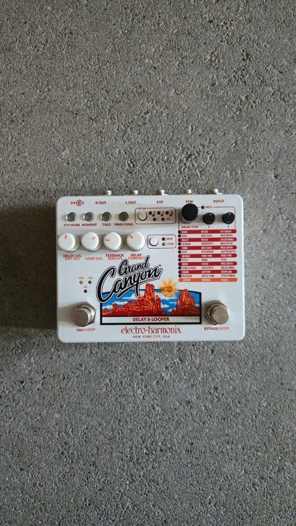 Electro Harmonix Grand Canyon Delay & Looper pedaal, Ophalen of Verzenden, Zo goed als nieuw, Delay of Echo