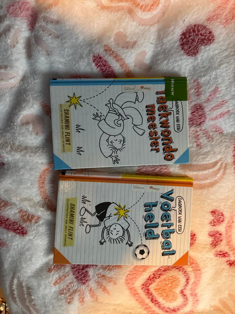 2 leuke boekjes: Dagboek van een Taekwondo Meester & Voetbal, Boeken, Ophalen, Zo goed als nieuw, Fictie algemeen