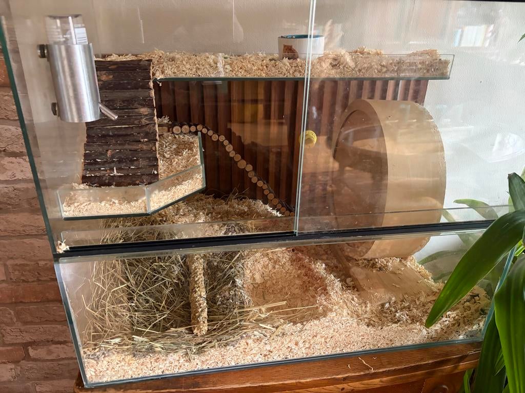 Hamster kooi, Minder dan 60 cm, Kooi, Gebruikt, Minder dan 75 cm
